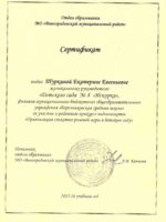 Сертификат Организация сюжрол игры-1
