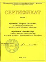 Сертификат жюри в ДОУ-1